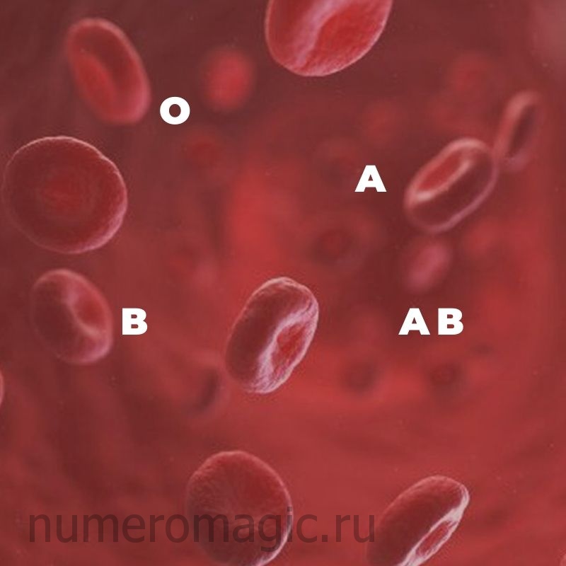 Тест Группа крови