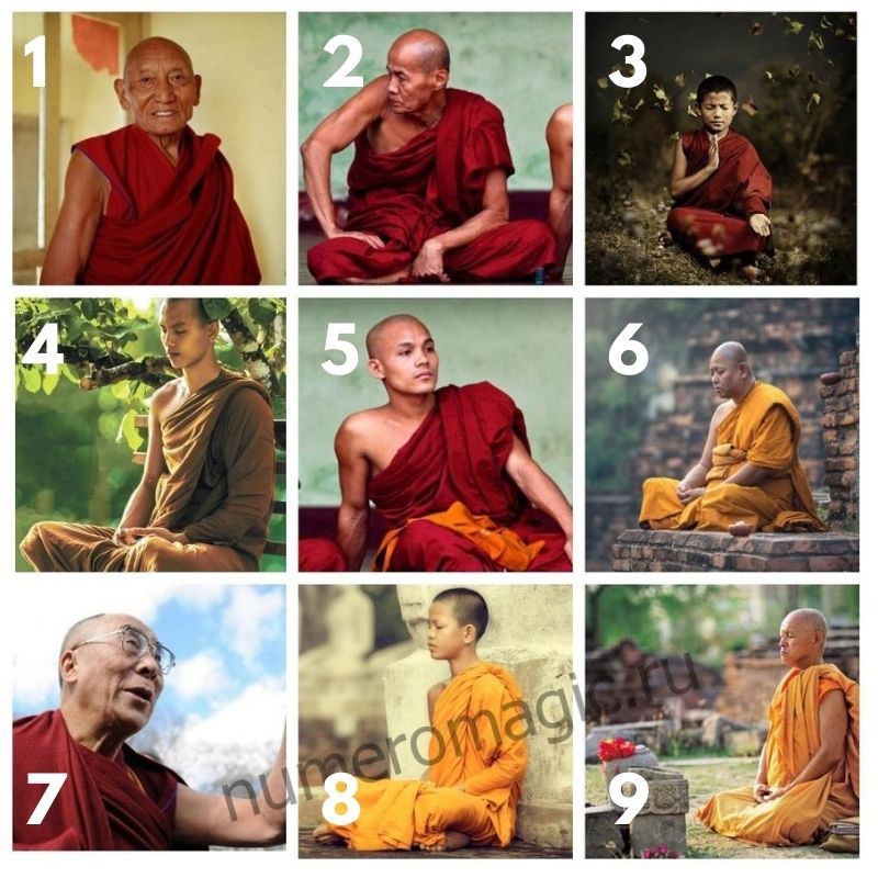 Тест Тибетская мудрость