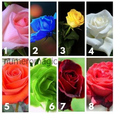 Тест Розы
