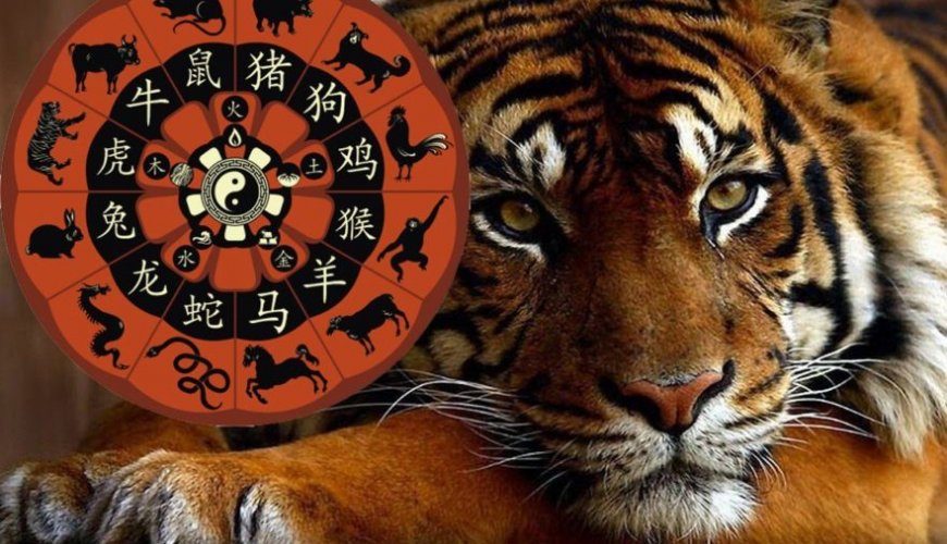 OSNMEDIA.RU «Астролог рассказал, кого ждет удача в год тигра»