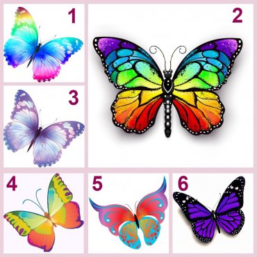 Тест Выбери бабочку