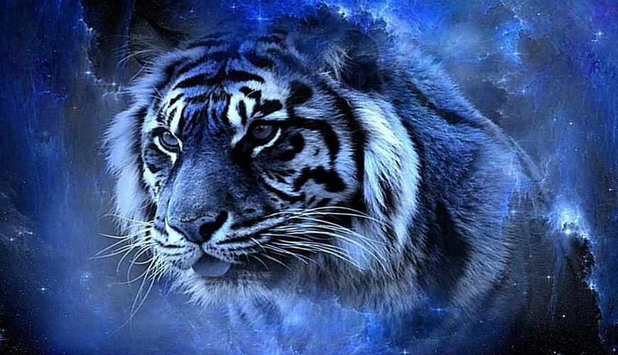 RIA.RU «Астрологи рассказали, что предсказывает китайский гороскоп в год Тигра».