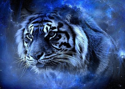 RIA.RU «Астрологи рассказали, что предсказывает китайский гороскоп в год Тигра».