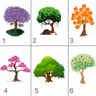 Тест Выбери дерево